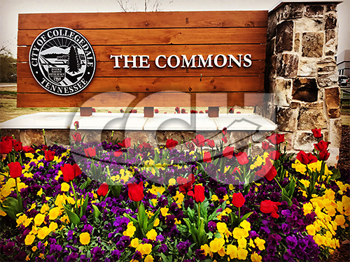 Welcome to the Commons by David Barto